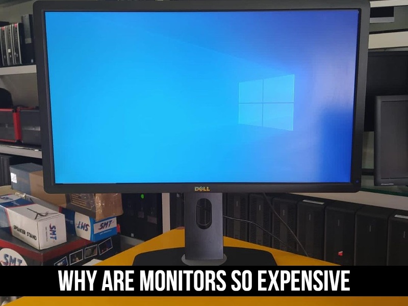 Why Are Monitors So Expensive